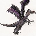 19990123-dracoraptor_cp