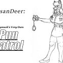 20040619-punpatrol