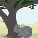 20110122-hyperrhino